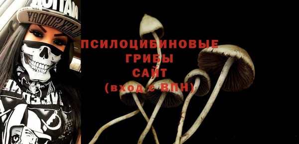 амф Абдулино