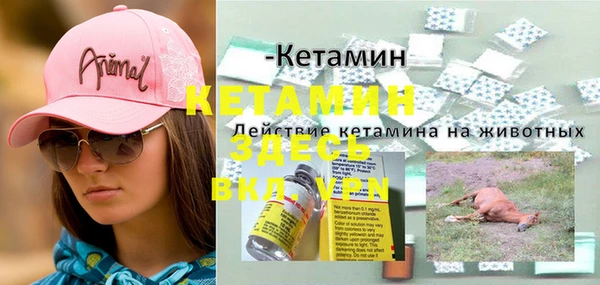 амф Абдулино