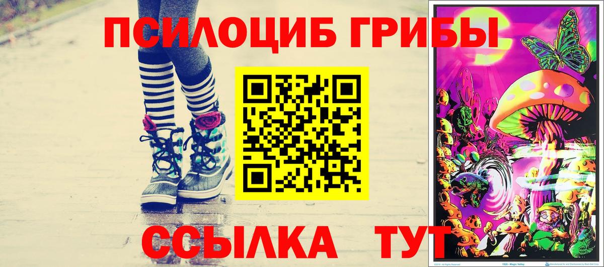 Псилоцибиновые грибы мицелий  Галлюциногенные грибы GOLDEN TEACHER  Вход с VPN  Сызрань 